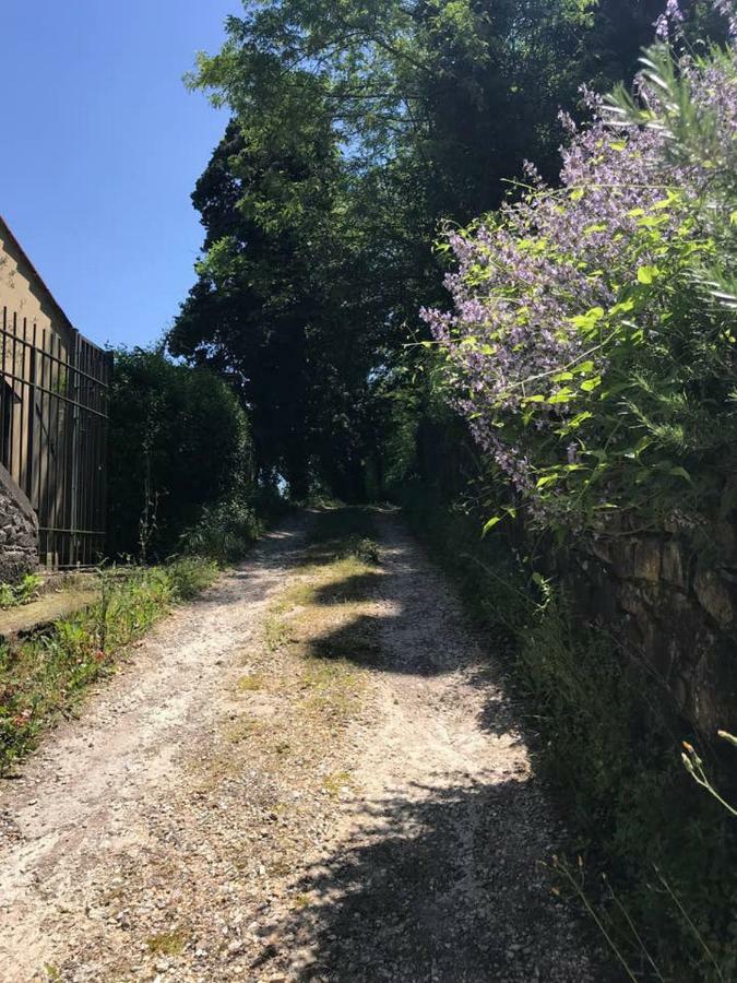 Antica Dimora Di Laura Apartment Барберино ди Мугело Екстериор снимка