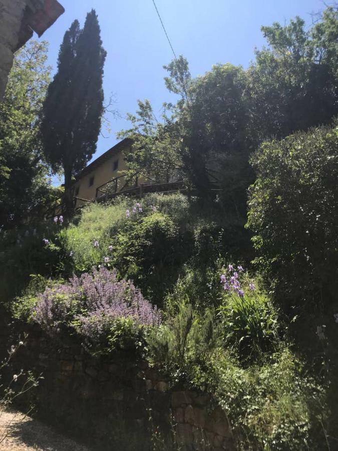 Antica Dimora Di Laura Apartment Барберино ди Мугело Екстериор снимка